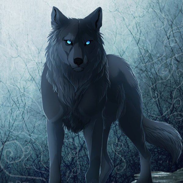 Блэк Вульф волчица