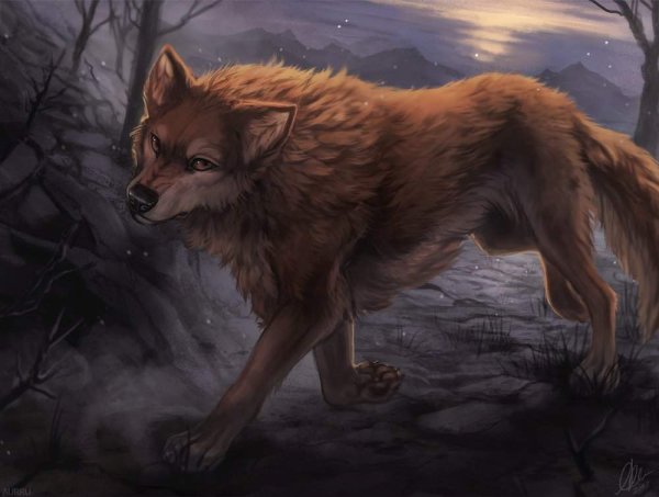 Рыжий волк аниме