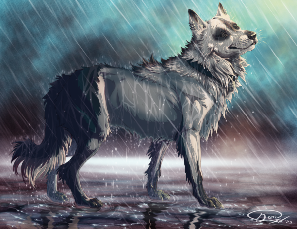 Арты Волков