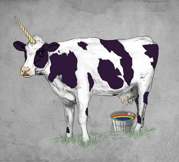 Окрас коровы