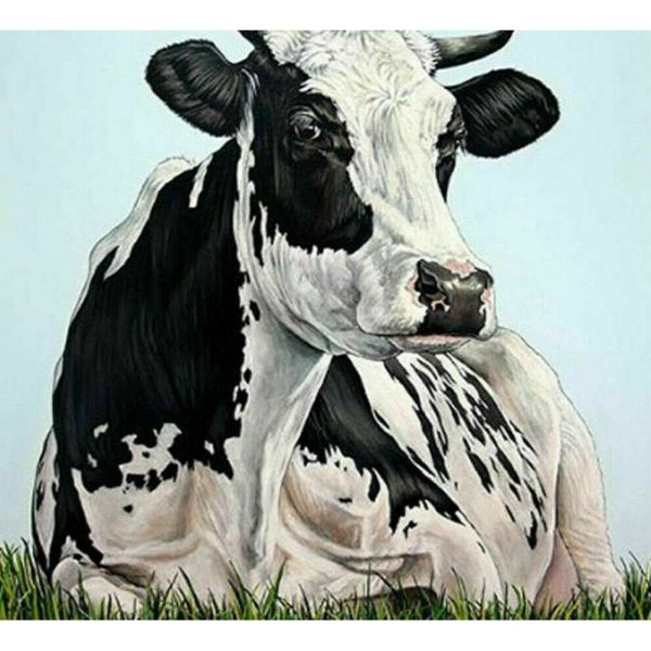 Корова черно белая