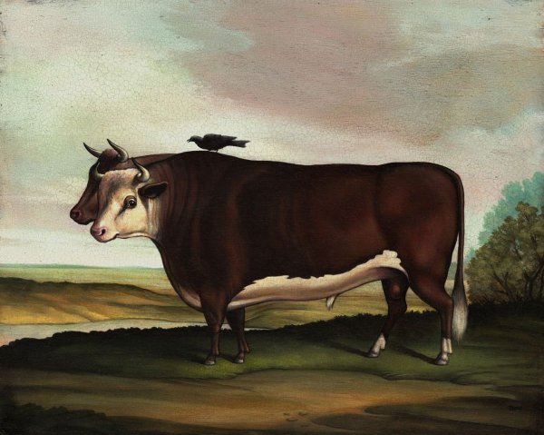 Даниэль Кесслер художник корова