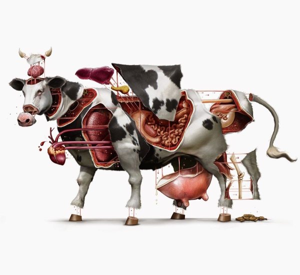 Креативный бык