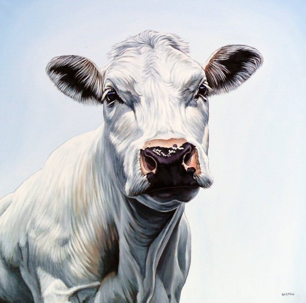 Морда коровы