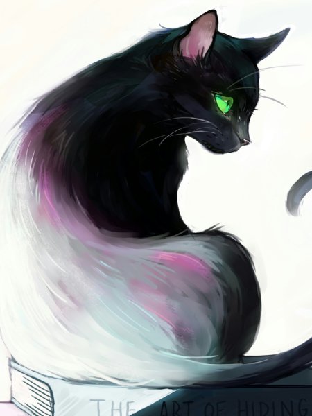 Черная кошка арт