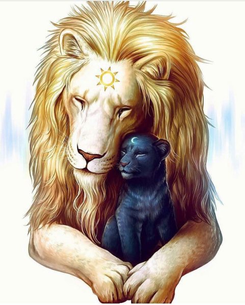 Лев и пантера