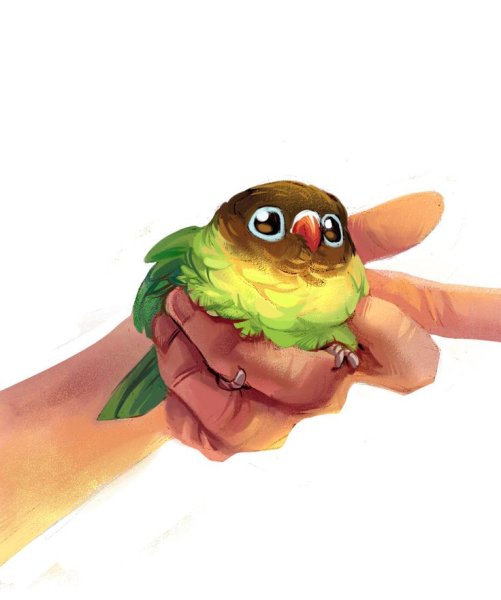 Милый попугай