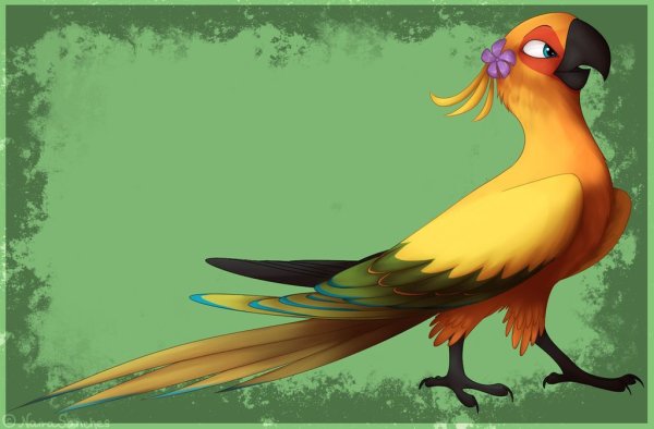 Рио Роберто и найра