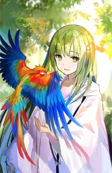 Аниме с попугаем