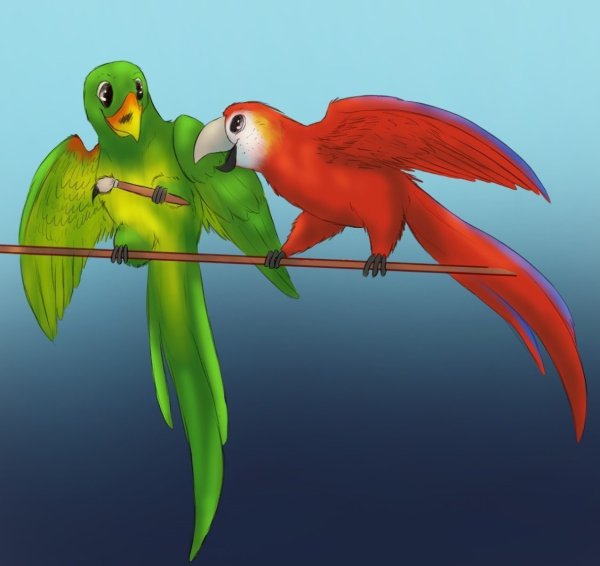 Мортимер попугай