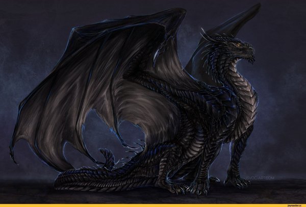 Гебридский чёрный дракон