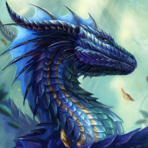 Зирнитра дракон