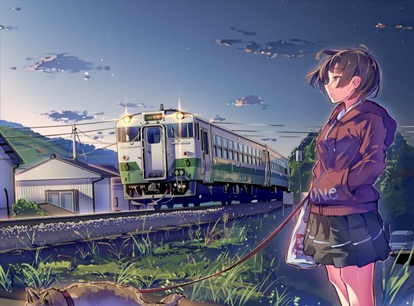 Макото Синкай вагон