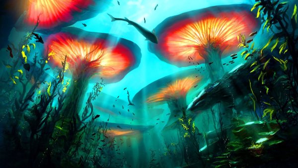 Фантастический подводный мир