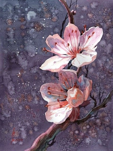 Сакура акварелью