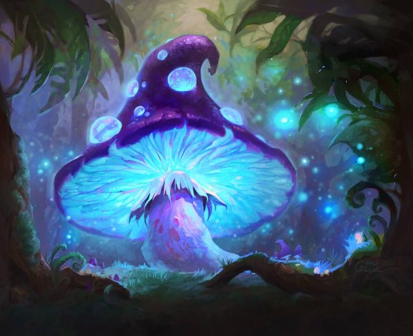 Волшебные грибы