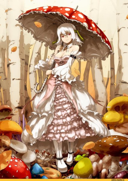 Аманита Мускария шаман