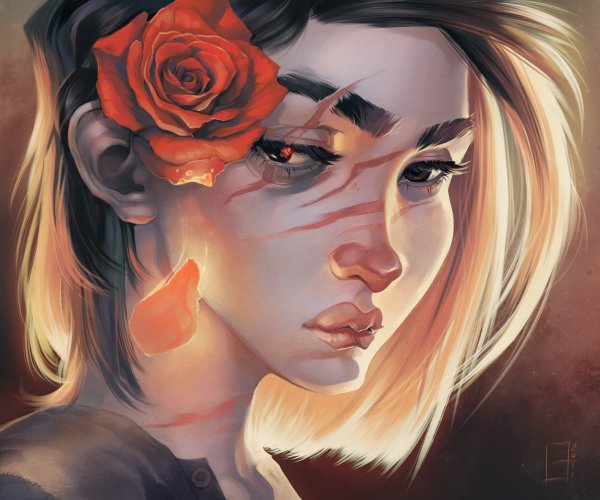 Розы красивые арты