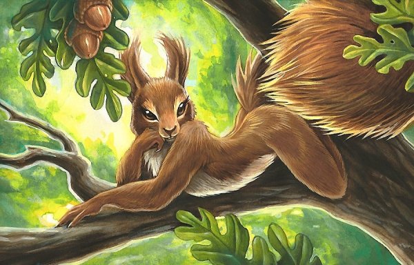 Фурри белка