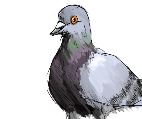Голуби мультяшные