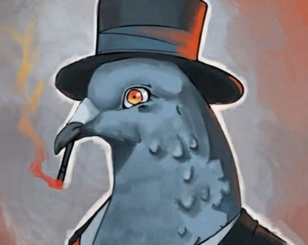 Брутальный голубь