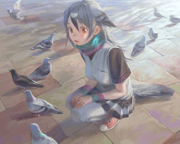 Kemono friends Rock Pigeon