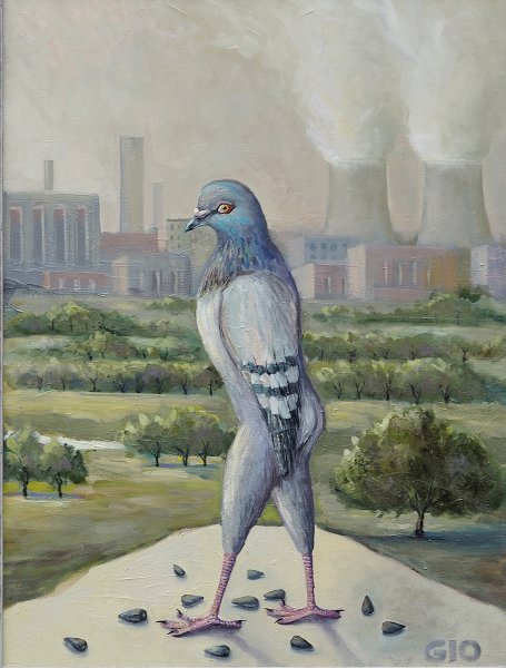 Голубь арты