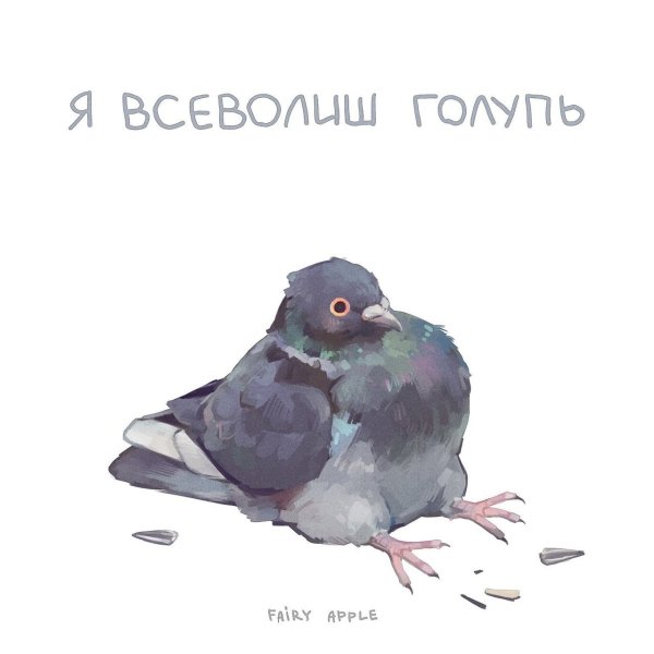 Грустный голубь