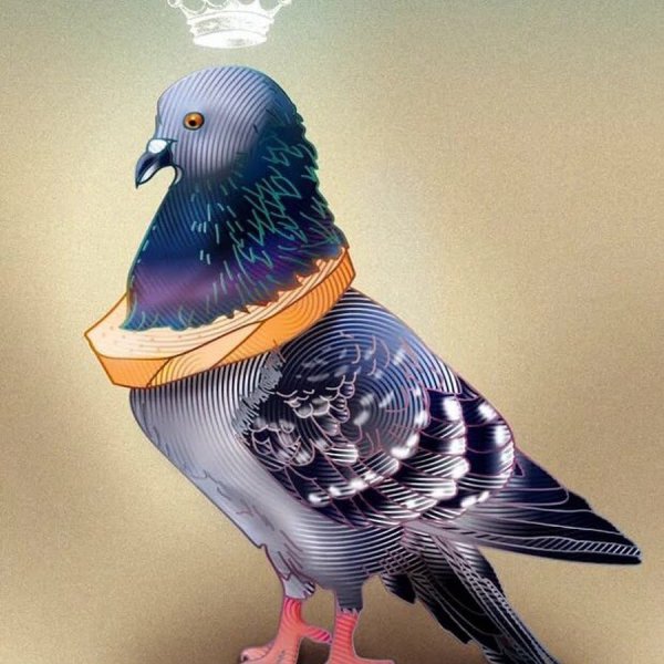 Голубь арт на аву