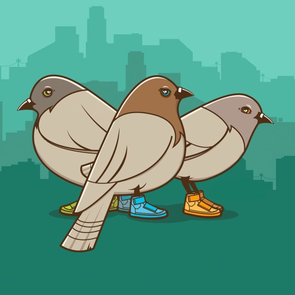 Голуби Сникерс