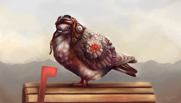 Голубь арты