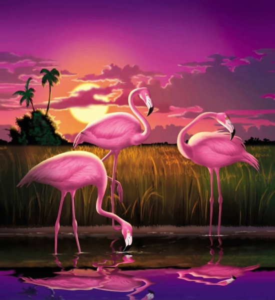 Картина розовый Фламинго