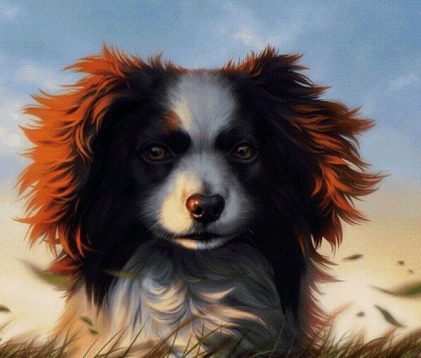 Красивые животные арт