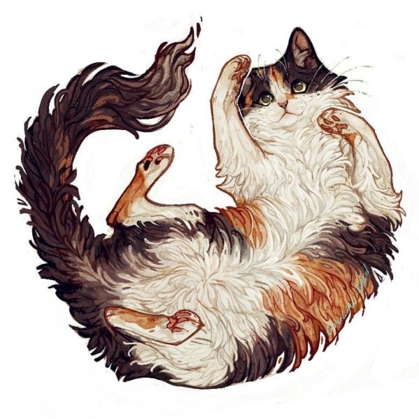 Арт кошка домашняя