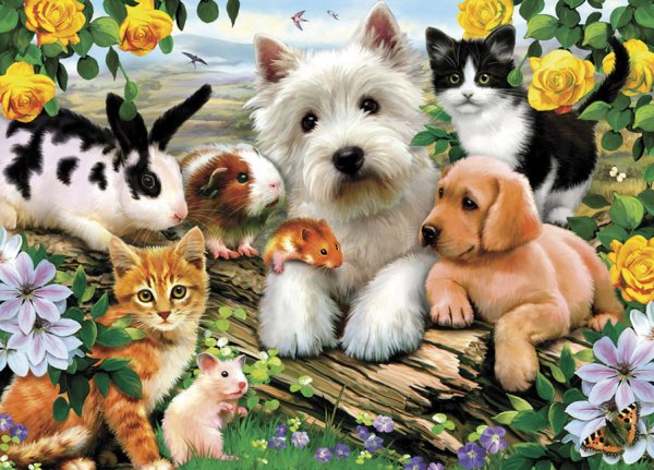 Домашние любимцы