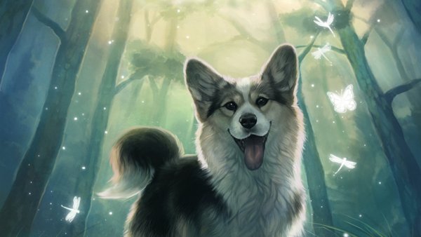 Корги Блю Мерль