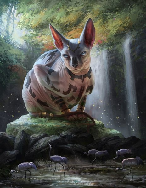 Сфинкс кошка коты Воители