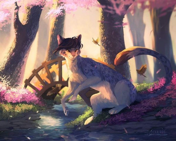 Мифические коты