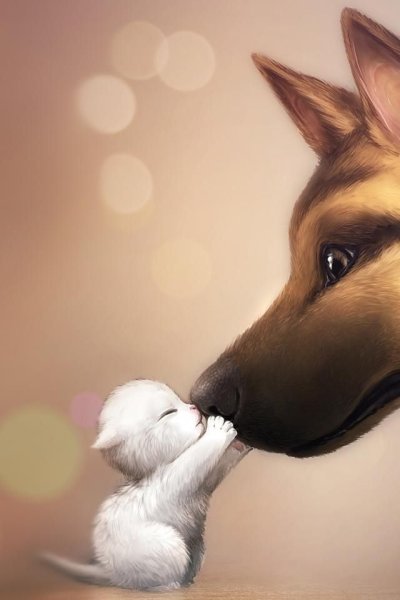 Кошка и собака арт