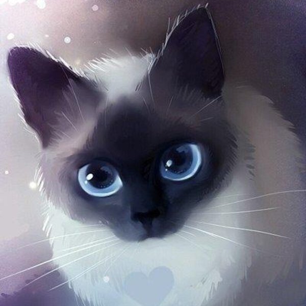 Рихардс Донскис