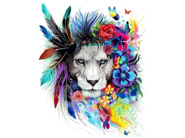 Яркие рисунки