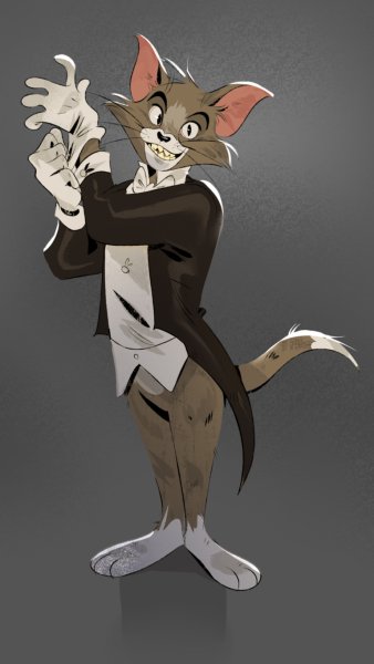 Кот том арт