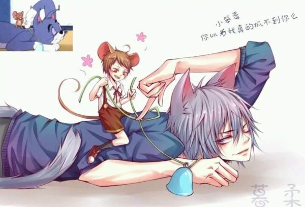 Том и Джерри аниме яой