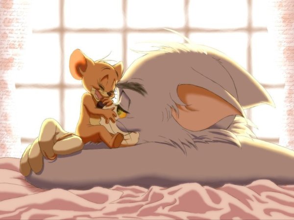 Том и Джерри шип