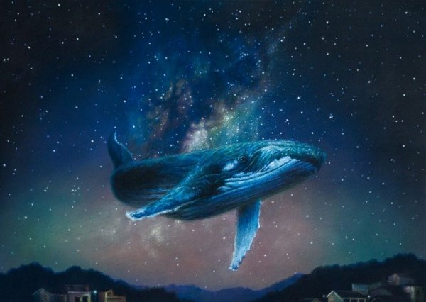 Волшебный кит