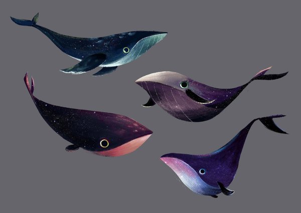 Кит референс