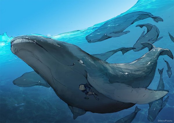 Синий кит аниме