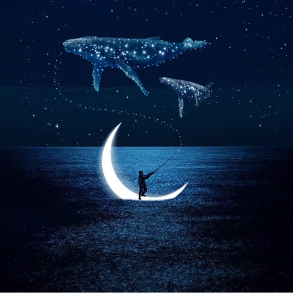 Космический кит