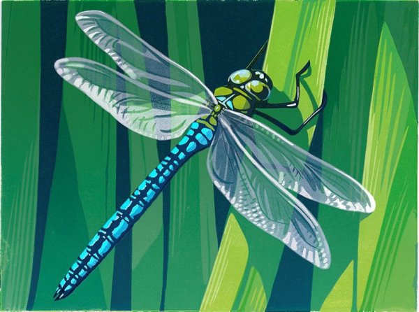 Стрекоза арт