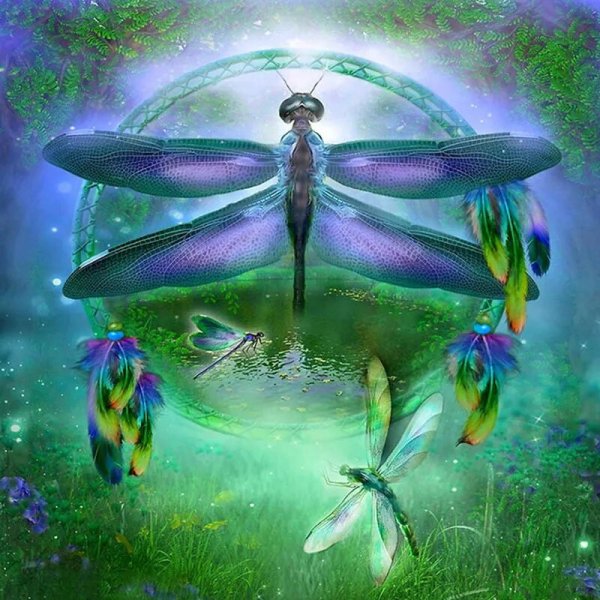 Волшебная Стрекоза